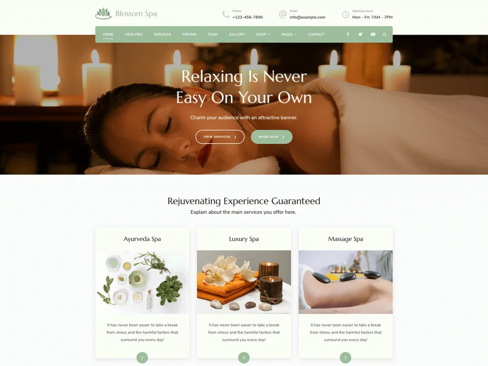 Blossom Spa WordPress theme screenshot