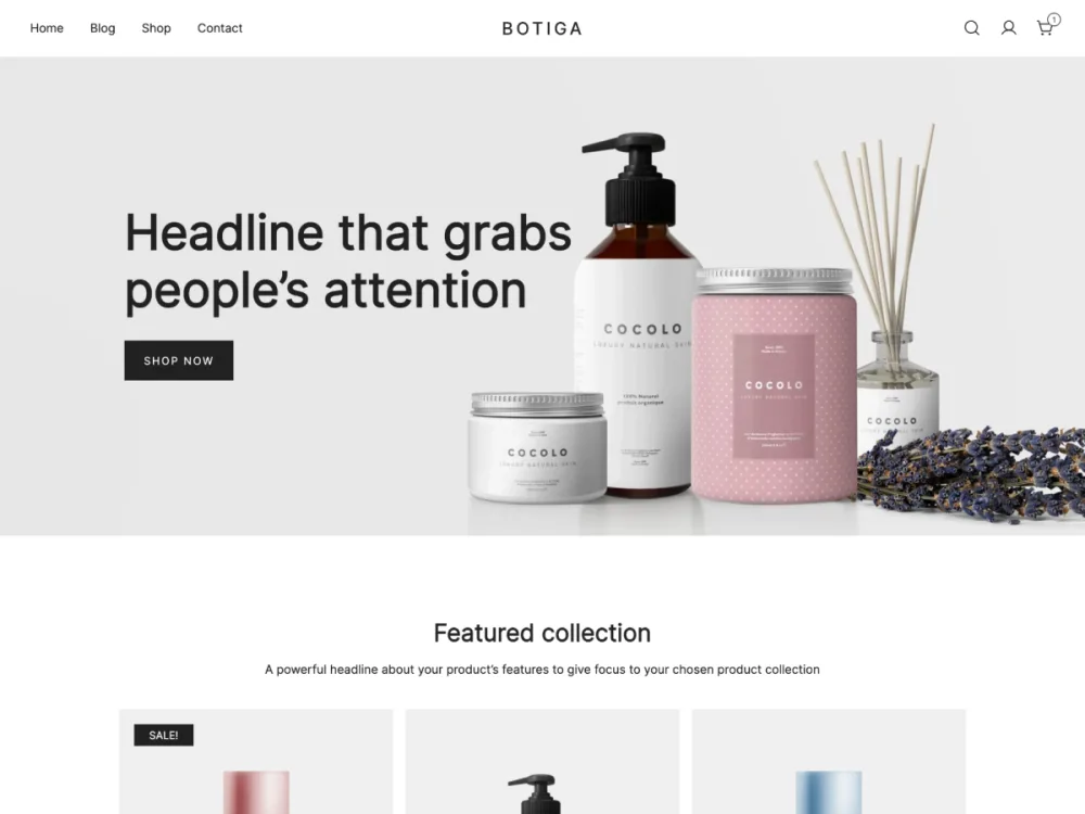 Botiga WordPress theme screenshot