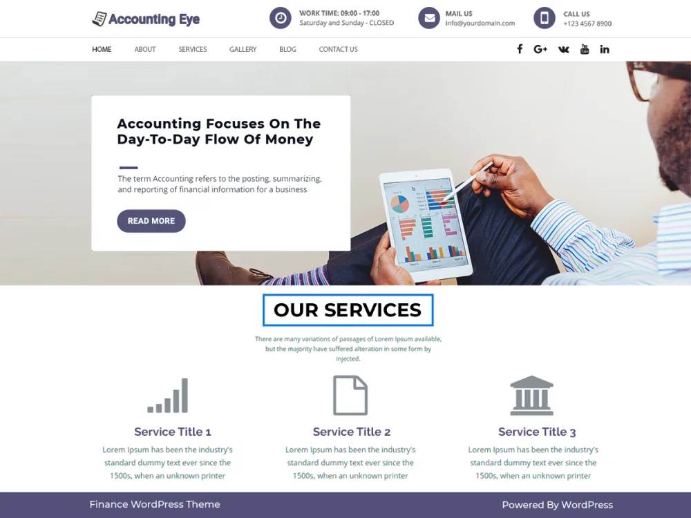 Finance Accounting WordPress theme screenshot