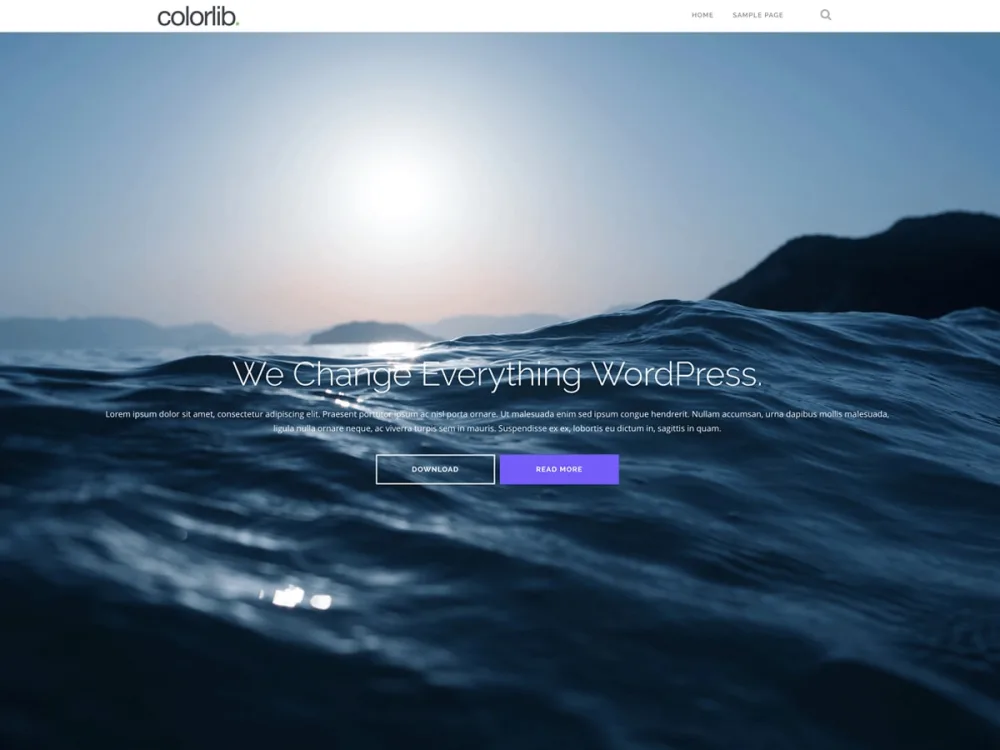 Shapely WordPress theme screenshot